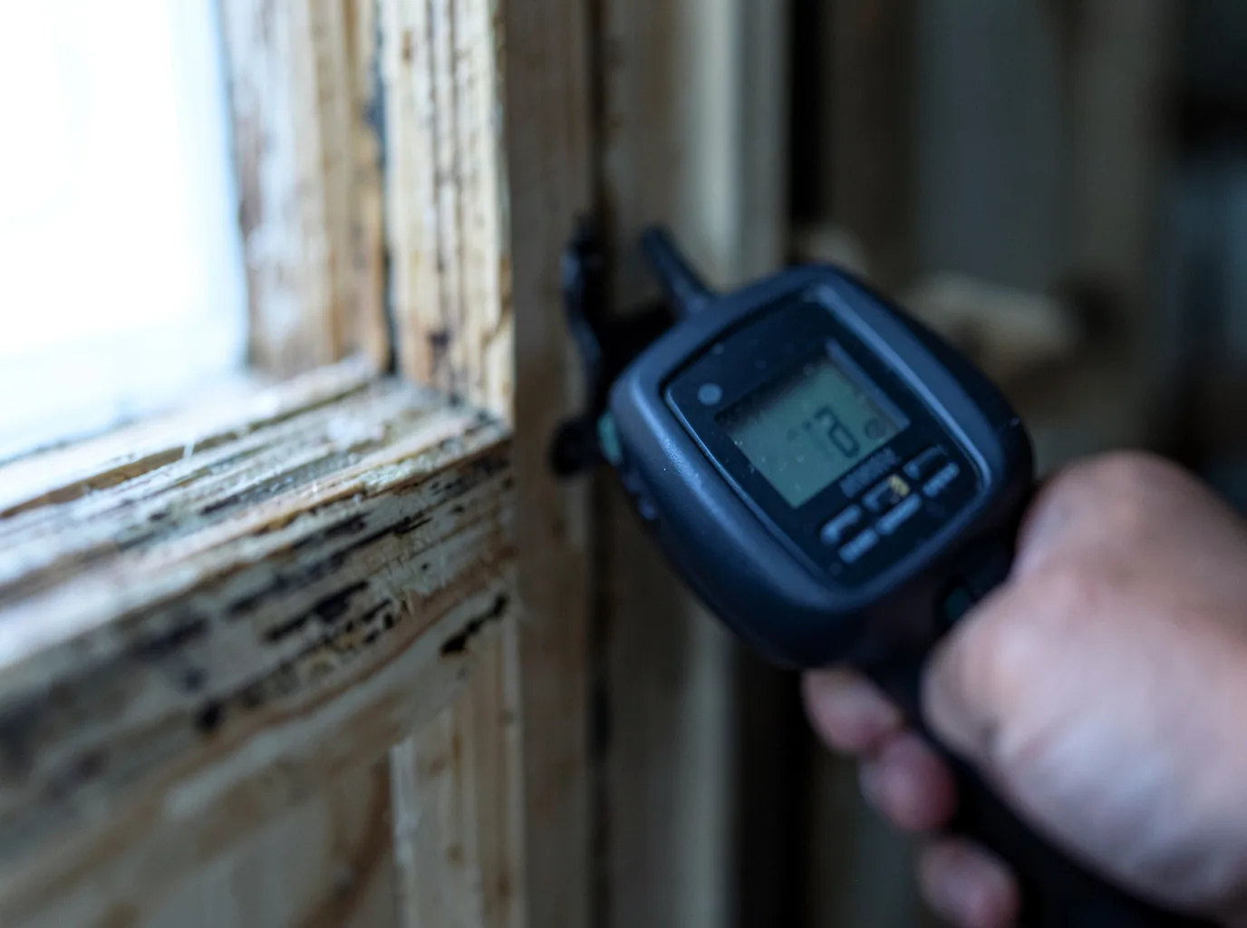 Moisture Inspection And Documentation in Laurens, NY